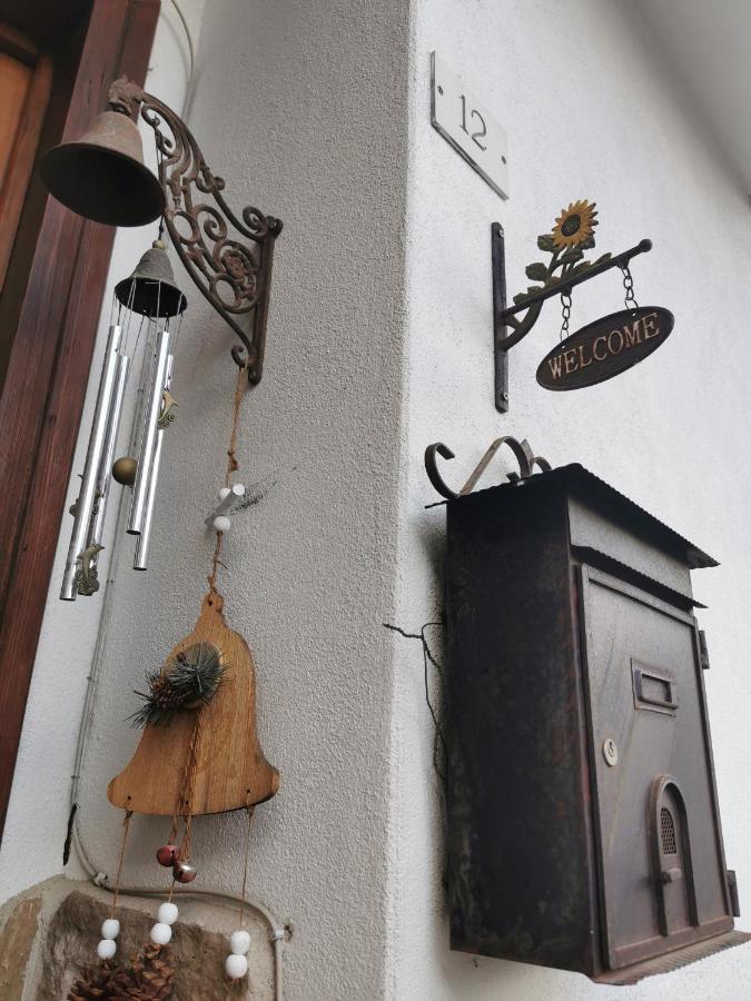 Casa Phoenix Appartamento Piano Terra Immerso Nel Verde A Pochi Minuti Dalla Ciclabile ピエーヴェ・ディ・カドーレ エクステリア 写真